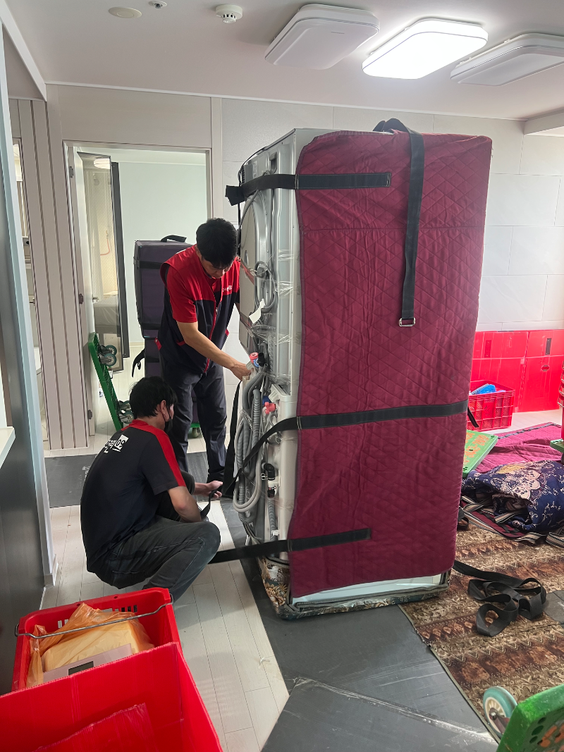 IMG_7279.jpg