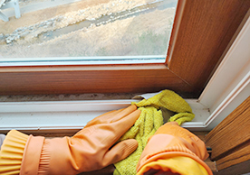 [2503번째 현장점검] 2023년 3월 성남시 판교동 프리미엄청소이미지