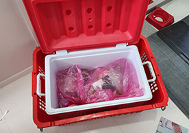 [3625번째 자체점검] 2024년 2월 332호 포장이사 (지역점 촬영)이미지