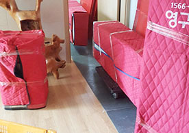 [3850번째 자체점검] 2024년 9월 211호 포장이사 (지역점 촬영)이미지