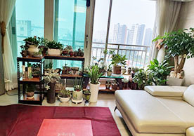 [3551번째 자체점검] 2023년 12월 331호 포장이사 (지역점 촬영)이미지