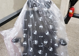 [2619번째 현장점검] 2023년 7월 451호점 포장이사이미지