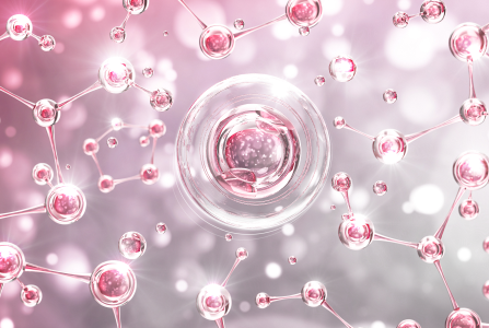 피톤치드 이미지