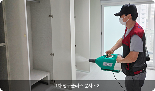 1차 영구플러스 분사 - 2