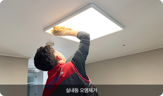 실내등 오염제거